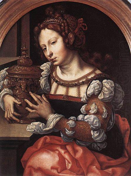 Jan Gossaert Mabuse Lady Portrayed as Mary Magdalene china oil painting image